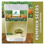 Vedicmedics Pumpkin Seeds ( Cucurbita Maxima ) Organic and Natural 200 g