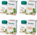 Himalaya Wellness Pure Herbs Shuddha Guggulu Cardiac Wellness Tablet Ayurvedic Medicine (4 Packs, 60 Tabs Each)