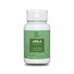 Ayurland Amla Tablets -100% Pure Indian Gooseberry Extract for immune support, Antioxidant Boost, And Overall wellness-60 Tablets