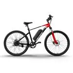 EMotorad X1 Mountain Electric Cycle- Limited Edition (18