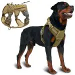 Qpets Nylon Dog Harness, No-Pull Dog Strap Pet Safety Belt With Control Handle, Harness For Dogs Large Size With Reflective Tape And 2 Connecting Rings (Army Yellow, Xl, 34-61Kg)