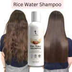 LA'BANGERRY Rice Water Fenugreek + Bhringraj Hair Cleanser, Ayurveda, Fermented Rice Water, Hair loss, All Hair Types, Hair Growth 200 ML [Pack Of 1]