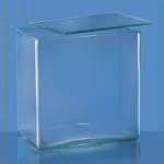 ABGIL Glass Specimen Jar Rectangular With Glass Cover 30 x 17 x 9 cm