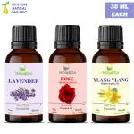 Homeda Lavender, Ylang Ylang, Rose Essential Oil for Hair Growth, Diffuser, Sleep, Skin, Face, Body, Soap Making, Massage, Bath water - Rose oil (Gulab) Diffuser Oil for Home fragrance - 30ml each