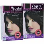 Vegetal Black Bio Hair Colour, 50 gm - Pack Of 2