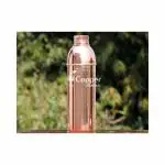 Zap Impex Botella de Agua Traveller Botella de Agua 100% Pure Copper Floral para Ayurvedic Benefits Joint Free 