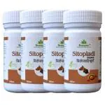 Dhanwantri Natural Herbs Care Private Limited Dhanwantri Sitopladi Churan || 100 grm || Pack of 4