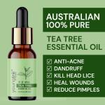 Youngtre Tea tree Essential Oil 100% Pure for Reduce Acne Wrinkle, Pimple, Ageing Problem & Make Soft Clean Natural Healthy Glowing Skin (10ml)