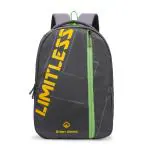 Stony Brook by Nasher Miles Altitude Grey Backpack 35 L