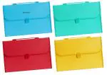 Shining Zon 13 Pockets Plastic Expanding File Folder Documents Large Size A4 Fs Letter Paper Holder with Carry Handle for School Office Home Collage Certificate Organizer (Pack of 4)