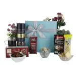 The Gift Tree Coffee Hamper Gifts (Pack of 7)