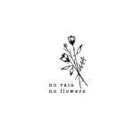 SIMPLY INKED No Rain No Flowers Temporary Tattoo Designer Tattoo for all (Temporary No Rain, No Flower Tattoo)