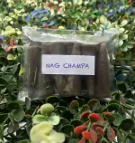 Happy Surroundings Nag Champa Backflow Incense Cones (50 Cones)