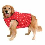 Sage Square Funky Soft Material Dog T-Shirt | Cool/Funky Print Pet | Soft Light Weight | Comfortable & Breathable Dog Clothing | Trendy Vest Outfit (XXXLarge - 30 inch) (Polka Red)
