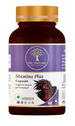 Dr. Nature Stamina Plus Capsule- 500mg X 60caps