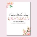 Festiko Grandmothers Day Greeting Card, Mothers Day Celebration Items, Mothers Day Party Supplies, Grandmothers Day Party Items