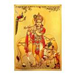 Hawai Shree Krishna Gold Plated Foil Poster 8x12 inch SFDI501_NOF