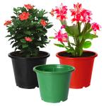 Kuber Industries Plastic Planters|Gamla|Flower Pots for Garden Nursery Home Décor,8