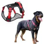 QpetsDog Harness, No-Pull Pet Harness with Safety Reflective Strip, Harness for Dogs Large Size, Control Handle Dog Belt Outdoor, Oxford Cloth Dog Vest Harness (Red, XL, Suitable for 22.5-45kg)
