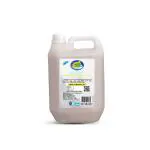 PAVIS INDUSTRY Phenyl, 5 ltr