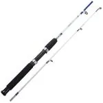 Ezzy Spinning Rod - Durable Lightweight Sensitive Fishing Rod, Tournament Quality Spinning Fishing Rod,Two Pieces Spinning Rods 8 feet (2.4 mtr)