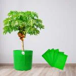 ORGANIC BAZAR Premium 21