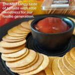 Regulus Wheat Spanish Tomato Roasted Coin Khakhra-100 gm (Pack of 3)