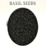 Kotaliya Basil Seeds Sabja Seeds Basil Tree Seeds Seed (850 Per Packet)