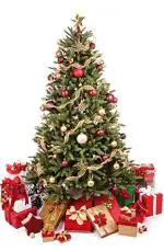 Webelkart Plastic Combo of 5 ft Foldable Christmas Tree with 101 Pieces Decorations (Assorted Colour)