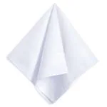 SHIVAAY Rds Hankytex Men White Handkerchiefs
