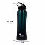 Tuelip Stainless Steel Bottle for School Kids Girls & Boys, College, Gym, Sports 750 ml Water Bottle  (Set of 1, Blue)
