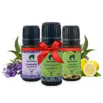 Ayurmeans Fragrance Oil Combo 1 Lavender + 1 Eucalyptus + 1 Lemon Essential (30 ML)