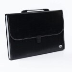 Packwell Expandable Document Bag/ Expanding File Folder/ Letter A4 Size File Organizer with Handle and Lock Set with 13 Pockets