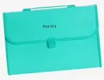 Shining Zon 13 Pockets Plastic Expanding File Folder Documents Large Size A4 Fs Letter Paper Holder with Carry Handle for School Office Home Collage Certificate Organizer (Pack of 6 Green Colour)