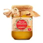 Bagrrys Organic Honey, Wild Raw & Natural 500gm