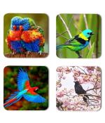 Whats Your Kick Birds Lover Colorful Birds Printed Set of 4 Coaster With Metal Stand