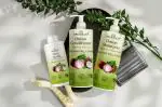 COSMEBUCKS Anti Hair Fall Spa Range Hair Care Set: Onion Shampoo Onion Conditioner Onion Hair Oil (250ml+150ml)