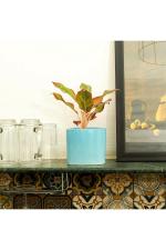 Kyari Sky Blue Ceramic Triangular Pot 11 x 12.5 x 9.5cm (Pack of 1)