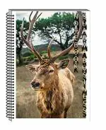 SHARMA BUSINESS A4 SIZE WRINTING NOTE PAD FOR MAKING NOTES AND EXAM PREPARATION 200 PAGES