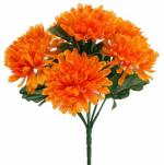 XOLDA Organic Turmp white Seed (44 per packet)