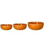 Caffeine Brown Stoneware Serving Bowl (Set Of 3pc)