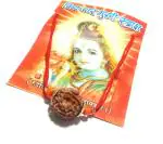 Vridaann Women Wood Vridaannksha Mala Pendant