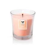 Iris Homefragrances 110g Taper jar aromatic Candle- Musk elixr (Pack of 2)