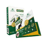 Gumtree Traps Ratrapp Mini (Pack of 3 Nos)