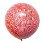My Party Suppliers Multicolor Peacock Balloons Big Balloons for Party