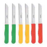 Godrej Cartini Multicolor Stainless Steel Easy Knife Set for Kitchen 6 pcs