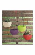 Bagga planters, Set of 5 Multicolour Ratan Hanging pots, Virgin and Fresh Plastic