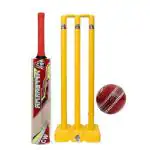 CW Winner Cricket Kit Practice Plastic Wicket Stand & Bails Kashmir Willow Cricket Bat Full Size