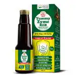 Healing Pharma - Yummy Zyme Digestive Enzymes Syrup Ayurvedic Sugar Free 225ml, Pack of 2