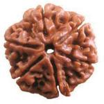 Shivoham Wooden 6 Mukhi Rudraksha